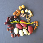 Graines de Haricots / Pois - Assortiment de 90 graines