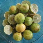 Citrus aurantifolia / Citron Galet / Lime - Lot de 10 graines