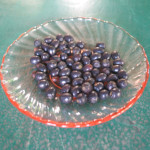 Cinnamomum verum / Cannelier - Lot de 10 graines - RARE