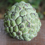 Annona squamosa - lot de 10 graines