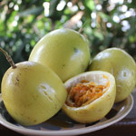 Passiflora / Fruit de la Passion