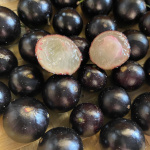 Myrciaria cauliflora / Jaboticaba - lot de 10 graines - RARE