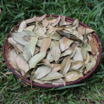 Feuilles de Cannelle - sachet de 20 g.