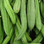 Luffa acutangula / Pipengaye - lot de 5 graines