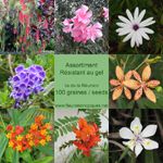Graines de Plantes résistantes au gel - Assortiment de 100 graines
