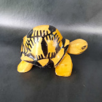 Tortue Radiata en bois sculpté