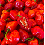 Piment cabri 