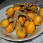 Eriobotrya japonica / Bibasse / Neflier du Japon - lot de 6 graines